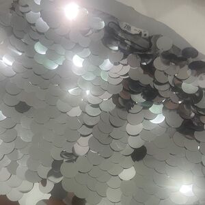 Zara Metallic Sequin Embellished Top